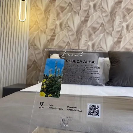 Alma Salina Bed & Breakfast *