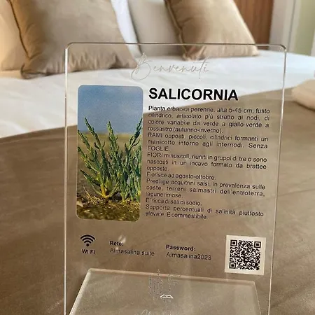 Bed & Breakfast Alma Salina